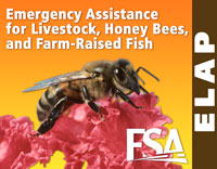 Disaster Assistance Program