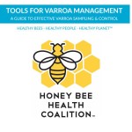 Tools for Varroa Mite Management Cover