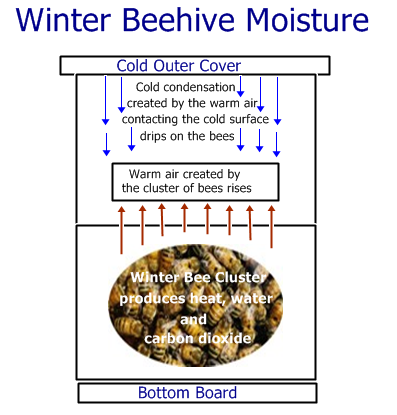 Winter Beehive Moisture courtesy Strathcona Beekeepers